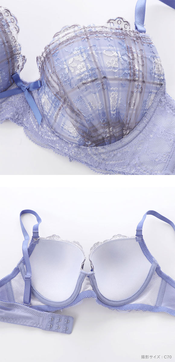 エレガント チェックレース ソフトワイヤー ブラセット ABCDEF 大きいサイズ グラマー ブラジャー ショーツ セット 谷間 Elegante