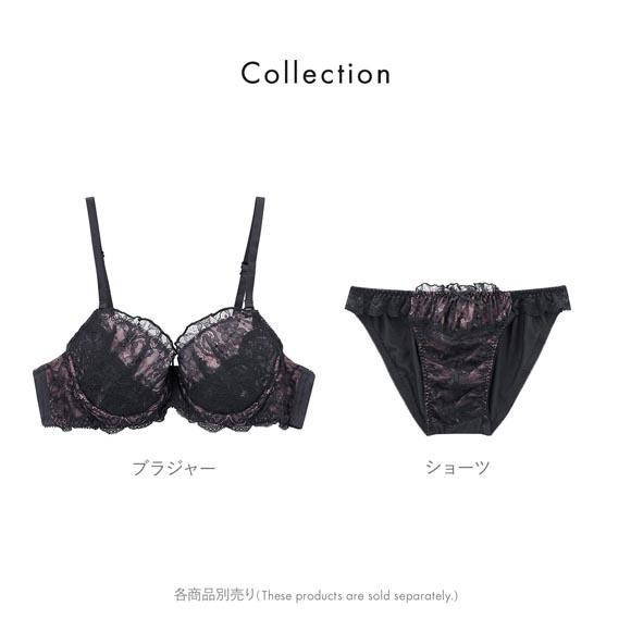 エレガント ラグジュアリーレース メンズ体型用ショーツ M-4L 大きいサイズ Elegante