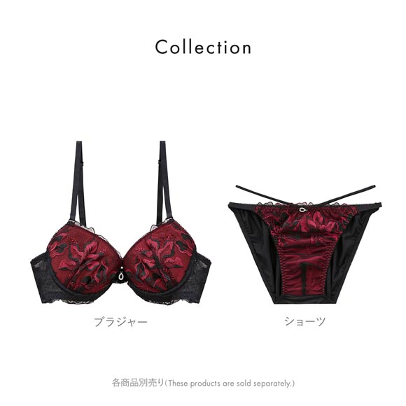 エレガント ラグジュアリーフラワー刺繍 メンズ体型用ショーツ M-4L 大きいサイズ Elegante