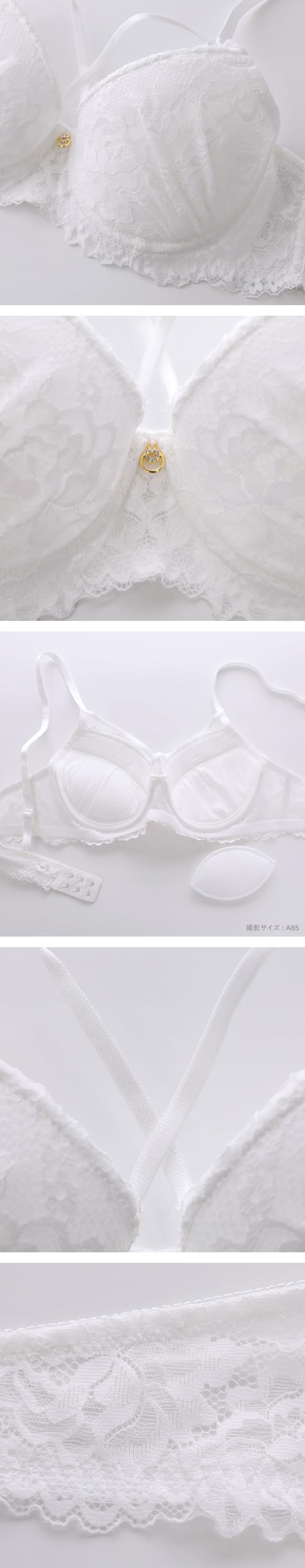 エレガント 総レース メンズ体型用ブラジャー メンズブラ MTF 下着　Elegante