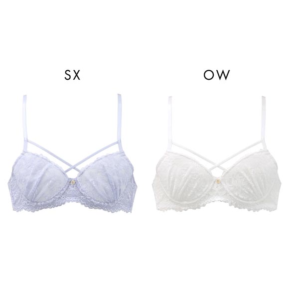 エレガント 総レース メンズ体型用ブラジャー メンズブラ MTF 下着　Elegante