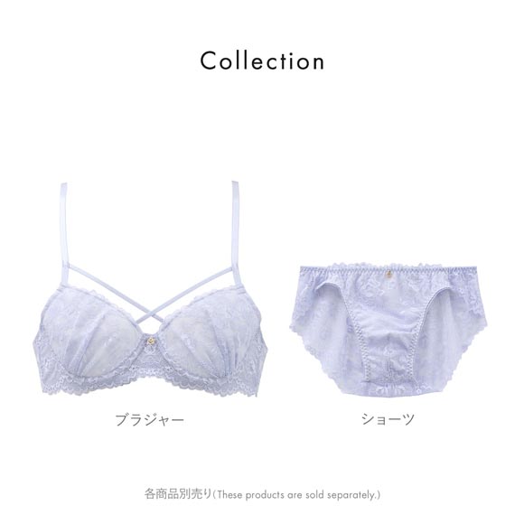 エレガント 総レース メンズ体型用ブラジャー メンズブラ MTF 下着　Elegante