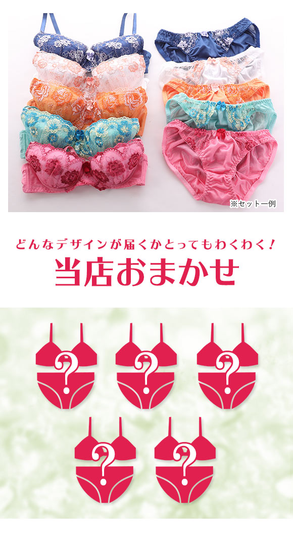 ブラジャー ショーツ 5点セット 福袋 おまかせ レース ABCDEFカップ グラマーサイズ