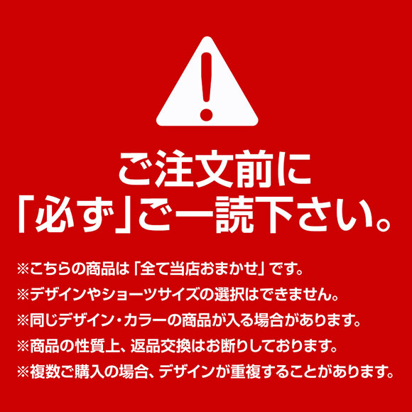 ブラジャー ショーツ 5点セット 福袋 おまかせ レース ABCDEFカップ グラマーサイズ