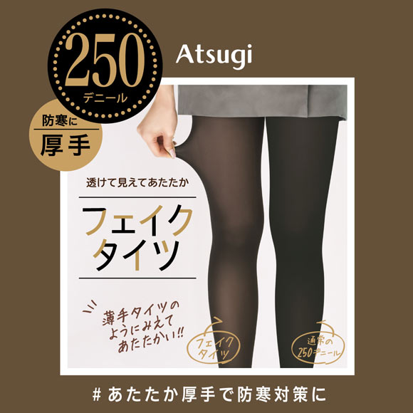 アツギ ATSUGI フェイクタイツ 厚手タイプ 250デニール