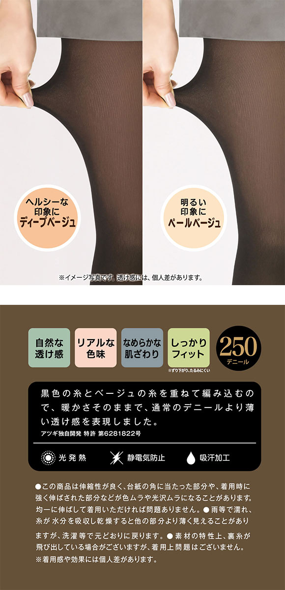 アツギ ATSUGI フェイクタイツ 厚手タイプ 250デニール