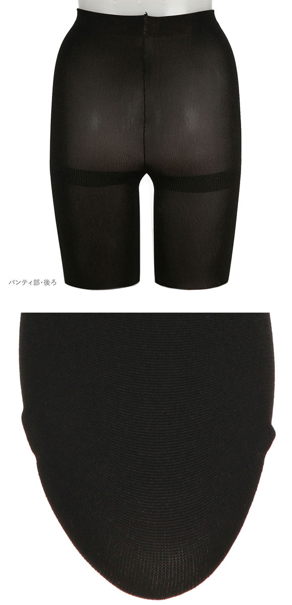 アツギ ATSUGI フェイクタイツ 厚手タイプ 250デニール