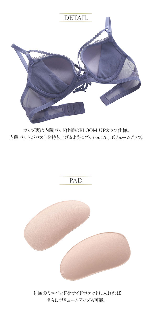 アンブラ ANNEBRA Charming BloomUp クロスコード 3/4カップ ブラジャー BCDEFG  大きいサイズ 単品