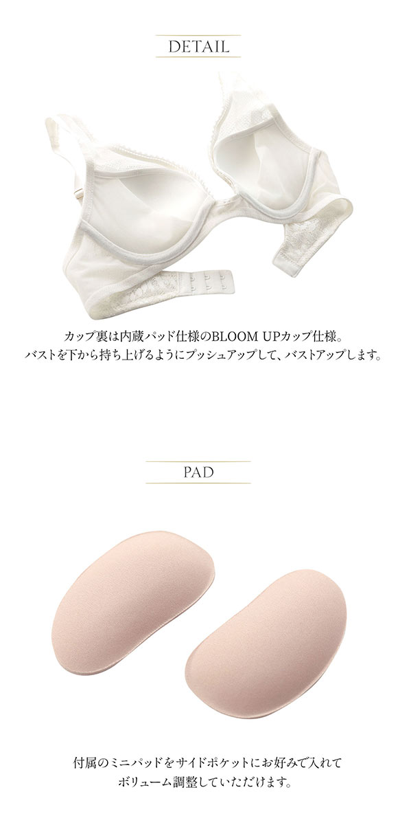 アンブラ ANNEBRA Romantic2 BloomUp デコルテレース ブラジャー モールドカップ BCDEFG 大きいサイズ 単品