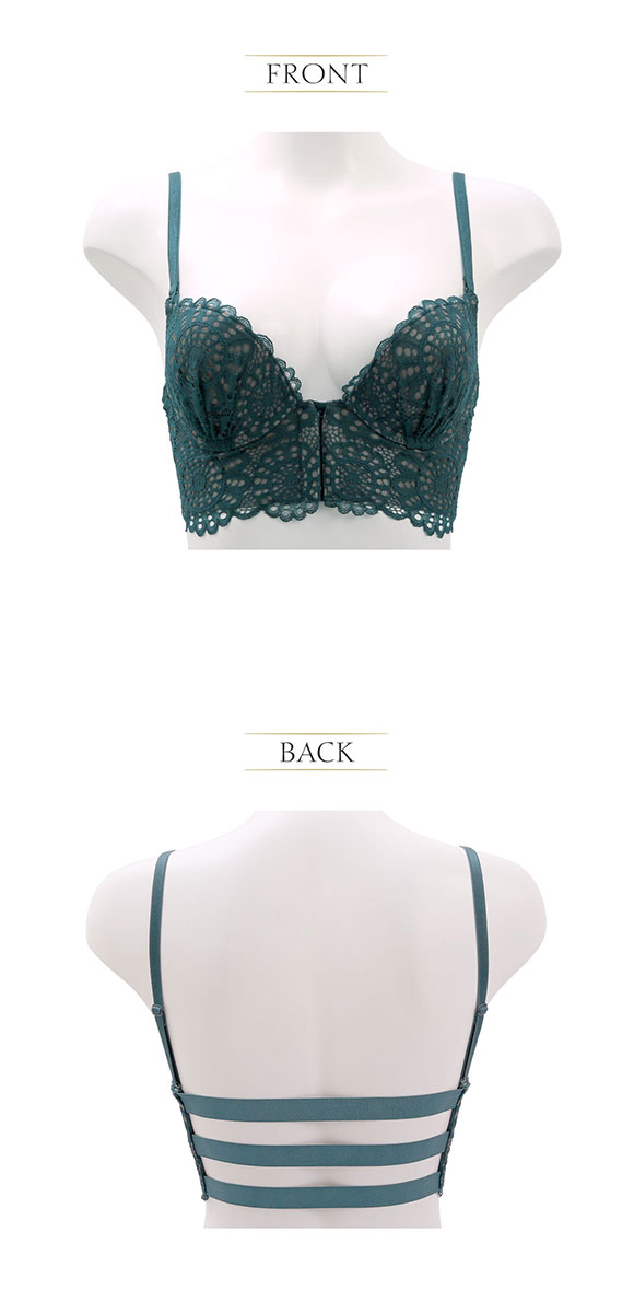 アンブラ ANNEBRA Charisma 2 ブラジャー バックコード フロントホック BCDEFG 大きいサイズ 単品