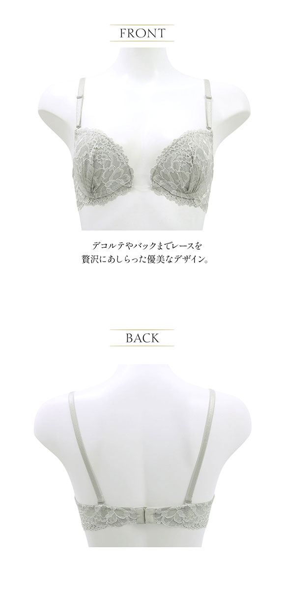 アンブラ ANNEBRA GLITZY ブラジャー BCDEFG  大きいサイズ 透明ストラップ付き 単品