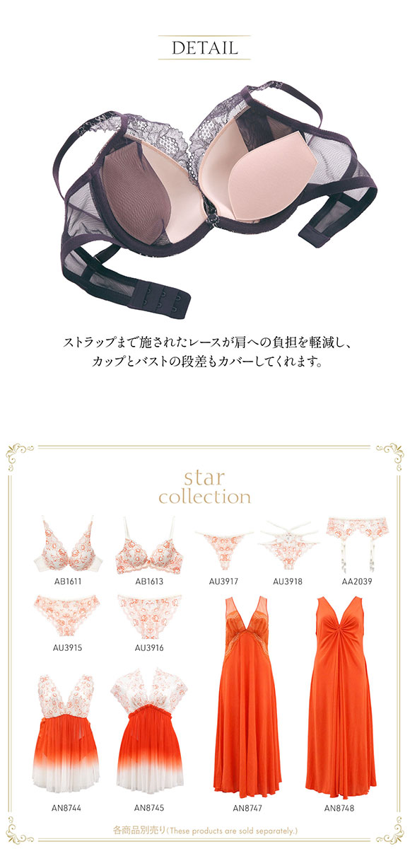 アンブラ ANNEBRA Star デコルテレース ブラジャー 単品