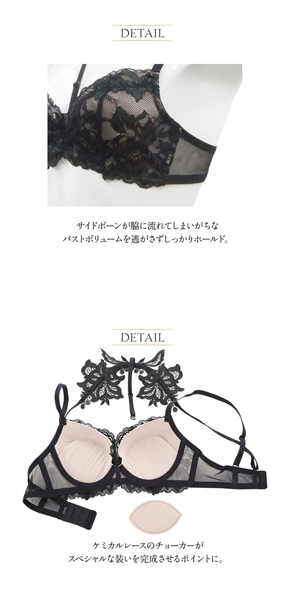 アンブラ ANNEBRA Lilyシリーズ　ブラジャー アンブラ ANNEBRA Lily フロントデザインはぎカップブラジャー(B～G
