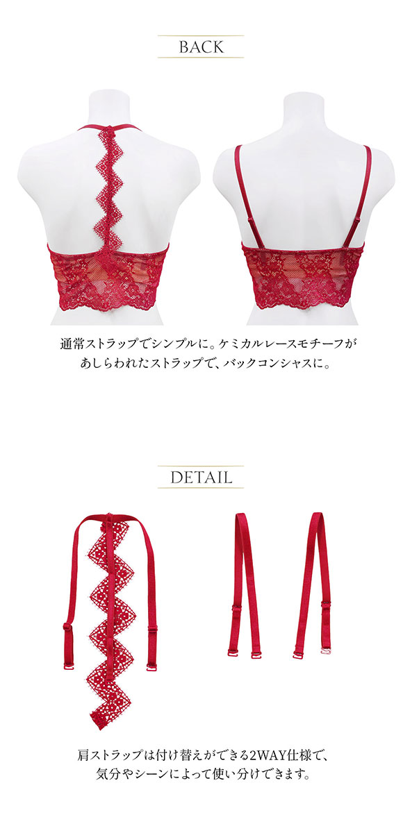 アンブラ ANNEBRA Zigzag2 バックモチーフ ロングライン ブラジャー 2way フロントホック 単品