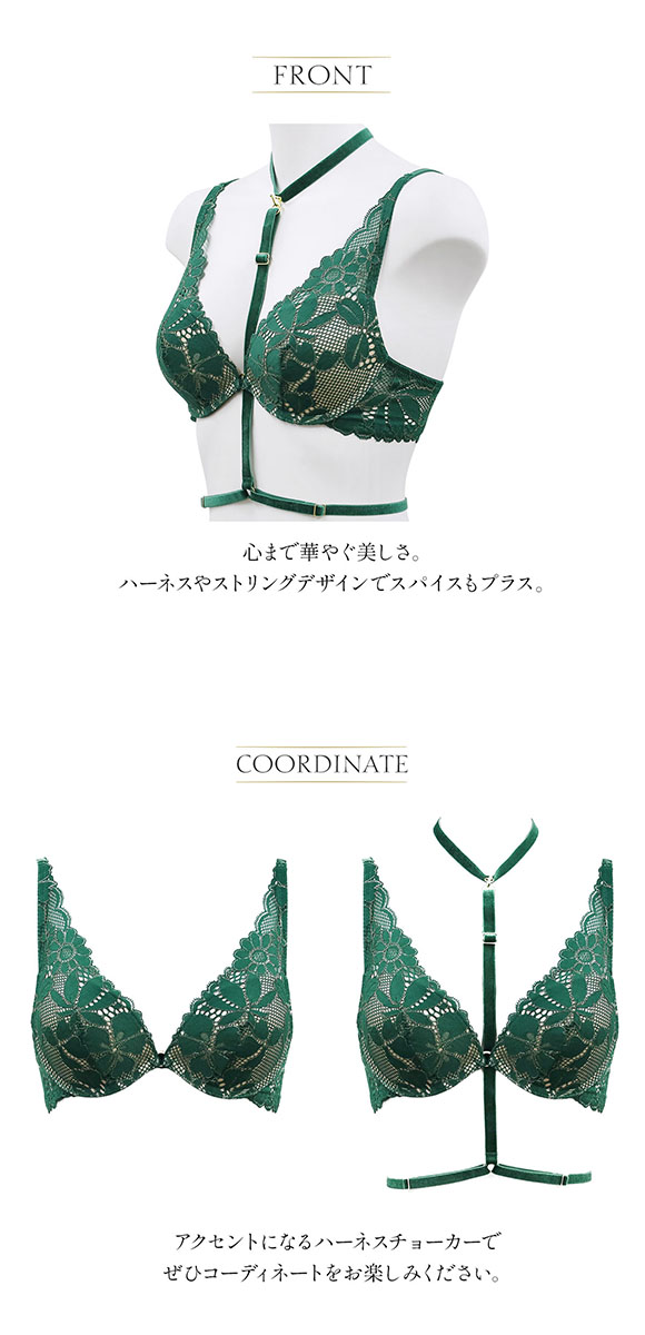 アンブラ ANNEBRA Sensual ハーネス付き モールドカップ ブラジャー デコルテレース付き 単品 セクシー ランジェリー インポート