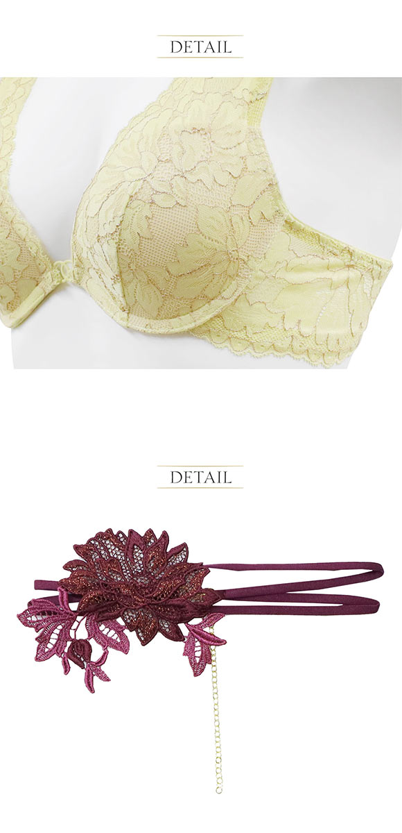 アンブラ Harmony in Bloom チョーカー付き デコルテレース モールドカップ ブラジャー 大きいサイズ ANNEBRA