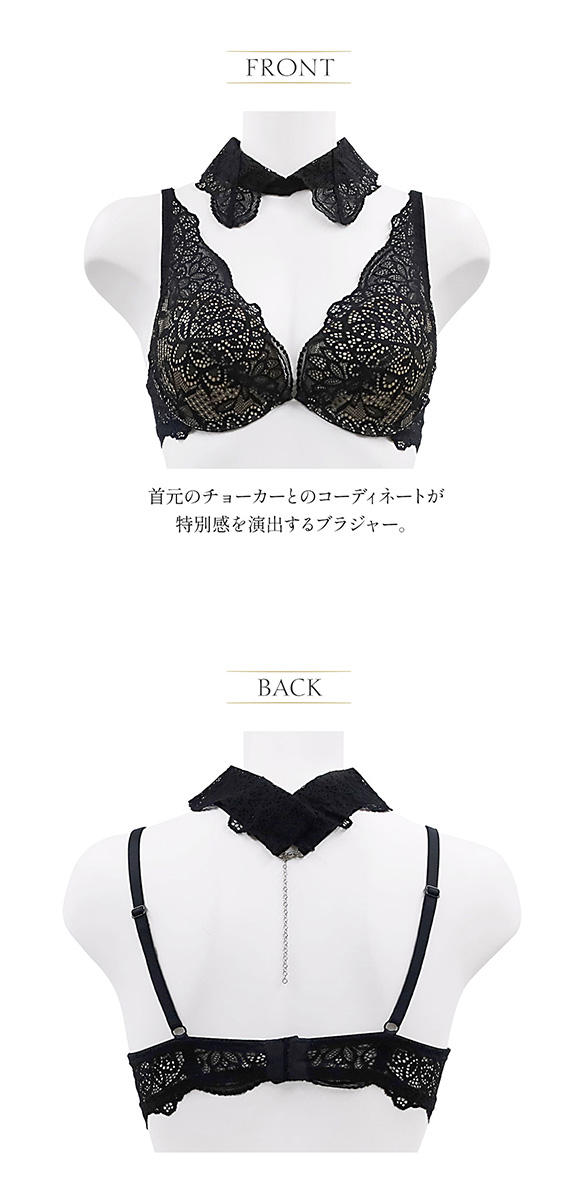 アンブラ Melodie チョーカー付き デコルテレース モールドカップ ブラジャー 大きいサイズ セクシー ANNEBRA