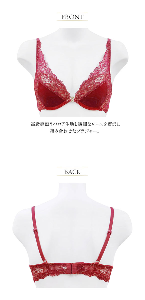 アンブラ Velvet Sin ベロア×レース モールドカップ ブラジャー 大きいサイズ セクシー ベルベット ANNEBRA