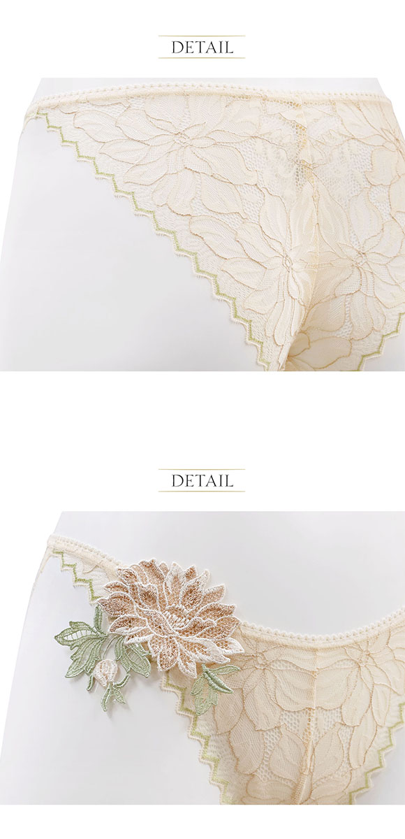 アンブラ ANNEBRA Heart ノーマル モチーフレースショーツ 総レース 単品