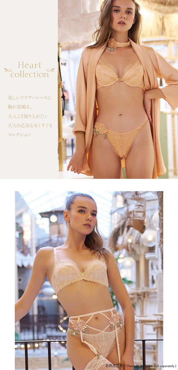 アンブラ ANNEBRA Heart バックデザインソング Tバック レースショーツ 総レース 単品