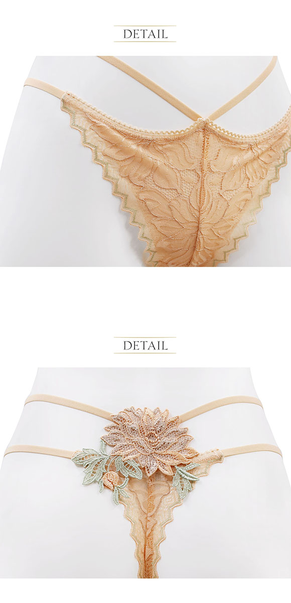 アンブラ ANNEBRA Heart バックデザインソング Tバック レースショーツ 総レース 単品