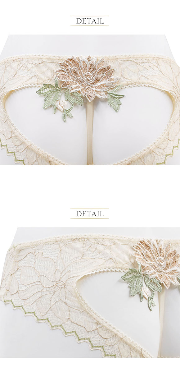 アンブラ ANNEBRA Heart ノーマルショーツ バックオープンデザインショーツ 総レース 単品