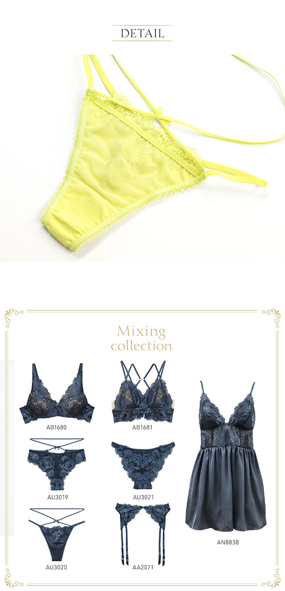 アンブラ ANNEBRA Mixing ストリングデザインレースソング タンガ Tバックショーツ 総レース 単品