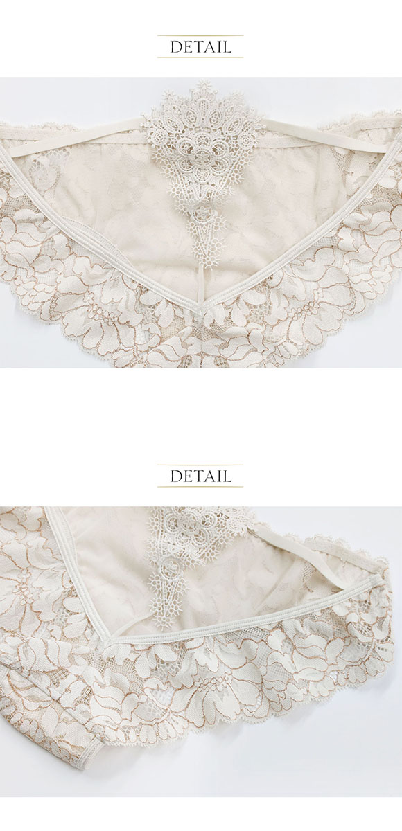 アンブラ ANNEBRA Playful バックオープンデザイン レースショーツ 総レース 単品