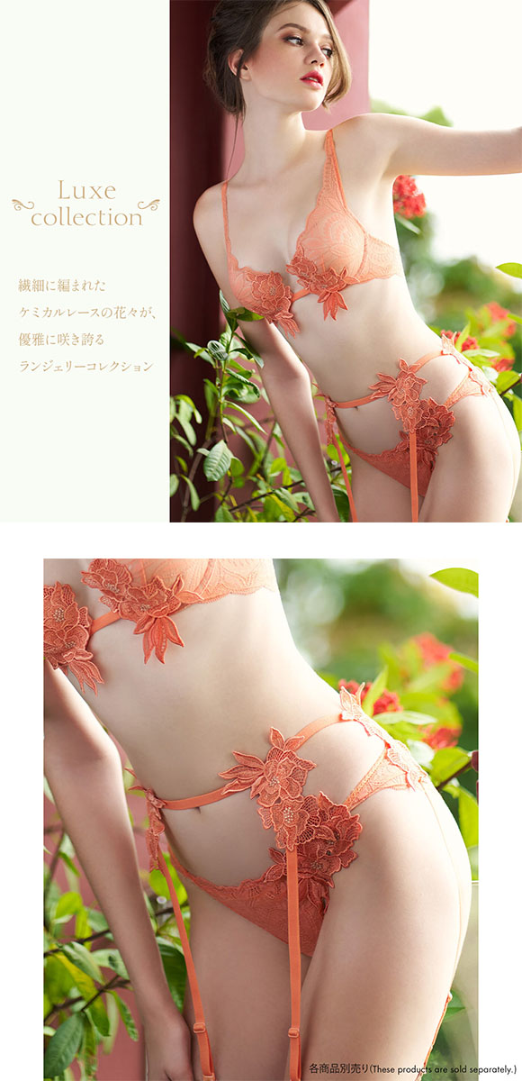 アンブラ Luxe レースショーツ ANNEBRA | SHIROHATO(白鳩)