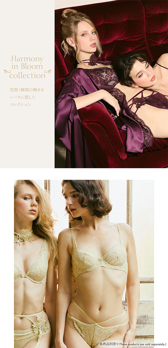 アンブラ Harmony in Bloom モチーフレースデザインソング ANNEBRA Tバック