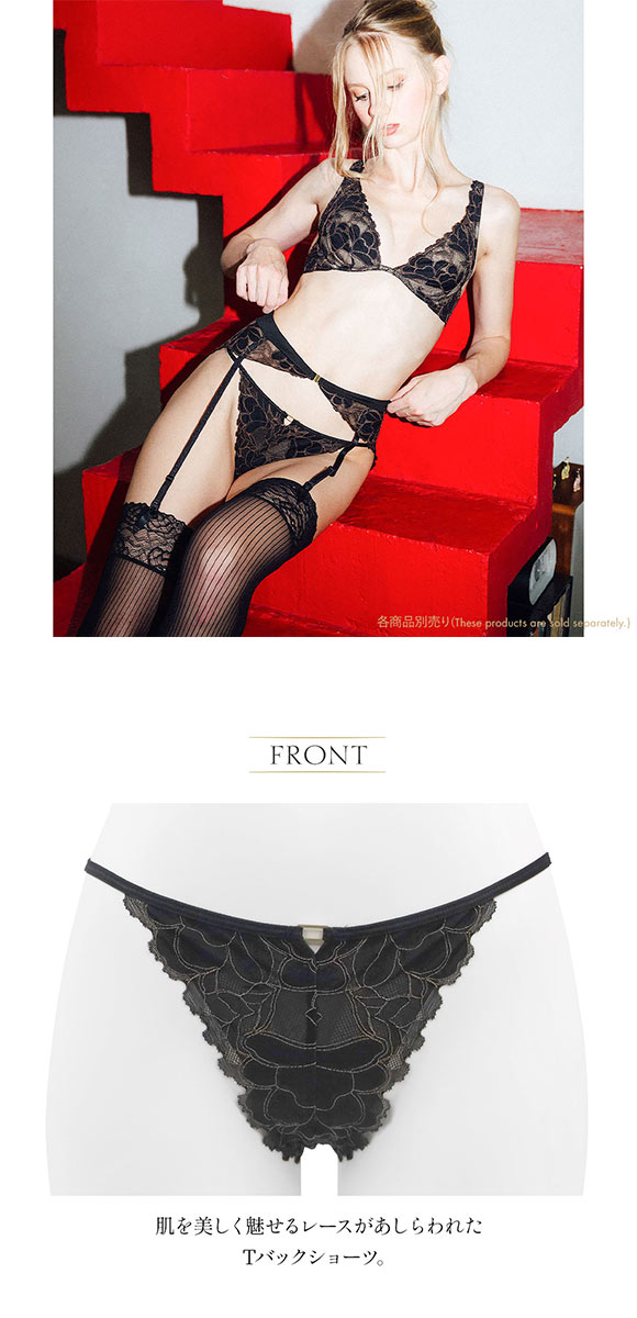 Tバック レディース ショーツ 大きいサイズ セクシー アンブラ