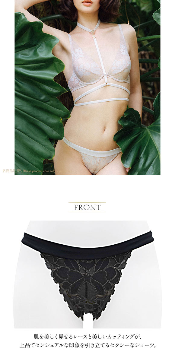 セクシー ショーツ 大きいサイズ レディース バックオープン ランジェリー アンブラ Whispers デザインショーツ ANNEBRA