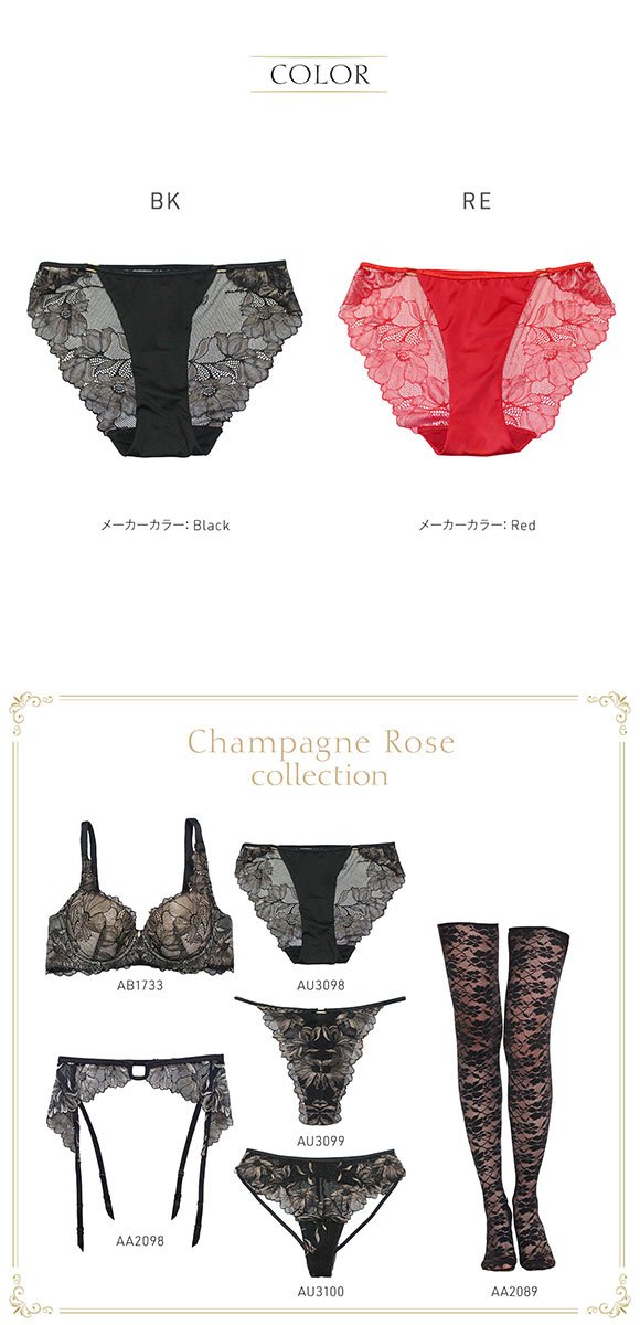 アンブラ Champagne Rose レース ノーマルショーツ レディース セクシー 総レース ハイレッグ 大きいサイズ レース 下着 ANNEBRA