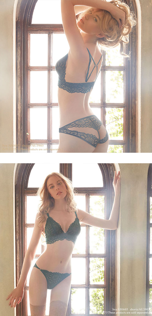 アンブラ ANNEBRA Charisma 2 ショーツ Gストリング 総レース セクシー 単品