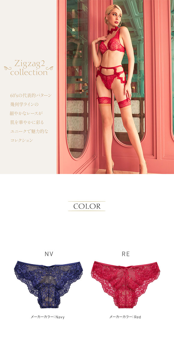 アンブラ ANNEBRA Zigzag2 ノーマルショーツ 総レース 単品