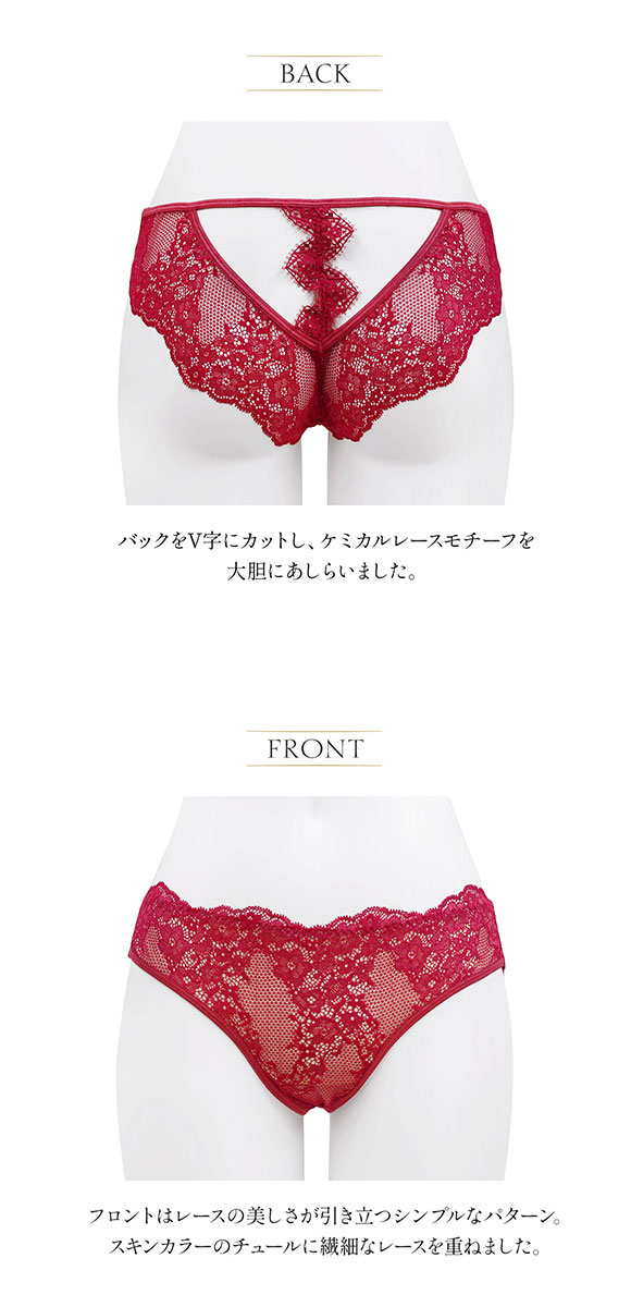 アンブラ ANNEBRA Zigzag2 バックオープン デザイン ショーツ 単品