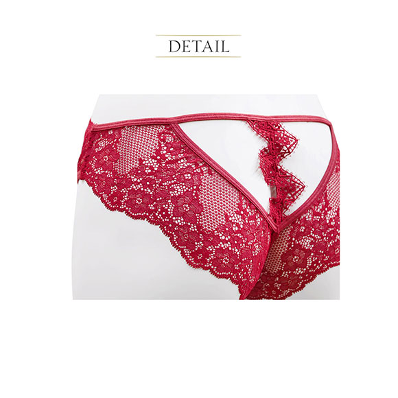 アンブラ ANNEBRA Zigzag2 バックオープン デザイン ショーツ 単品