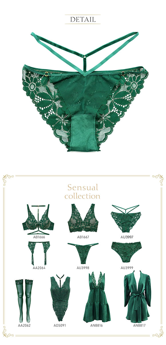 アンブラ ANNEBRA Sensual デザインショーツ ノーマル 総レース 単品 セクシー ランジェリー インポート プレゼント 彼女 下着 海外
