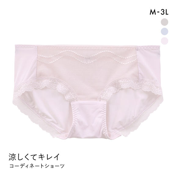 涼しくてキレイ 小胸メイクブラ ペアショーツ レディース スタンダード ノーマル M L LL 3L 大きいサイズ