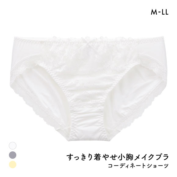 すっきり着やせブラ ペアショーツ レディース スタンダード ノーマル M L LL 大きいサイズ