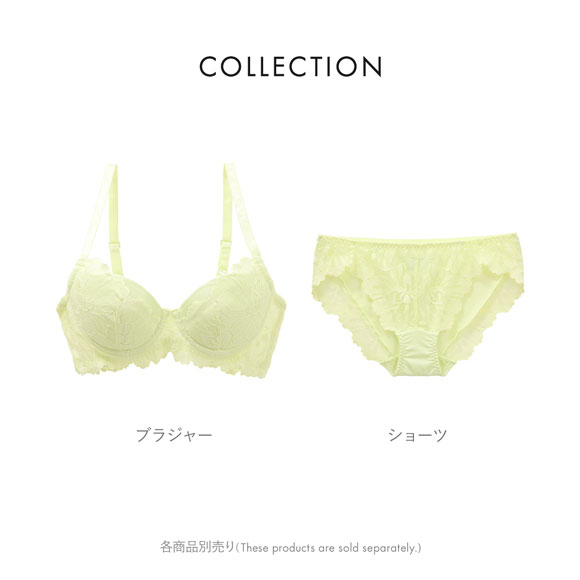 ショーツ レース ノーマル 単品