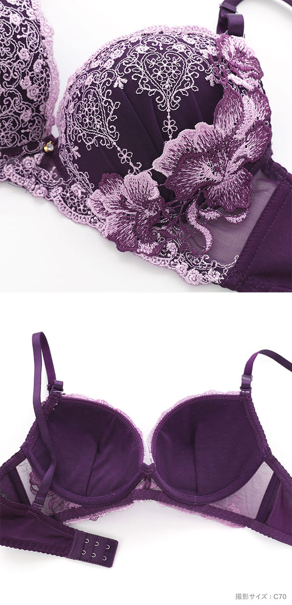 エクラ ブラジャー ショーツ セット 大花ケミカル ECLAT