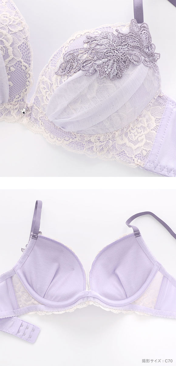 ピュアシェリ エレガントラメシフォン ブラセット ABCD ブラジャー ショーツ セット PURECHERIE