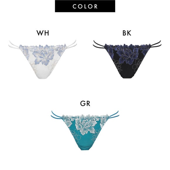 ラヴィジュール ルナリア エンブロイダリーレース ノーマルショーツ SM バックレース 透け RAVIJOUR