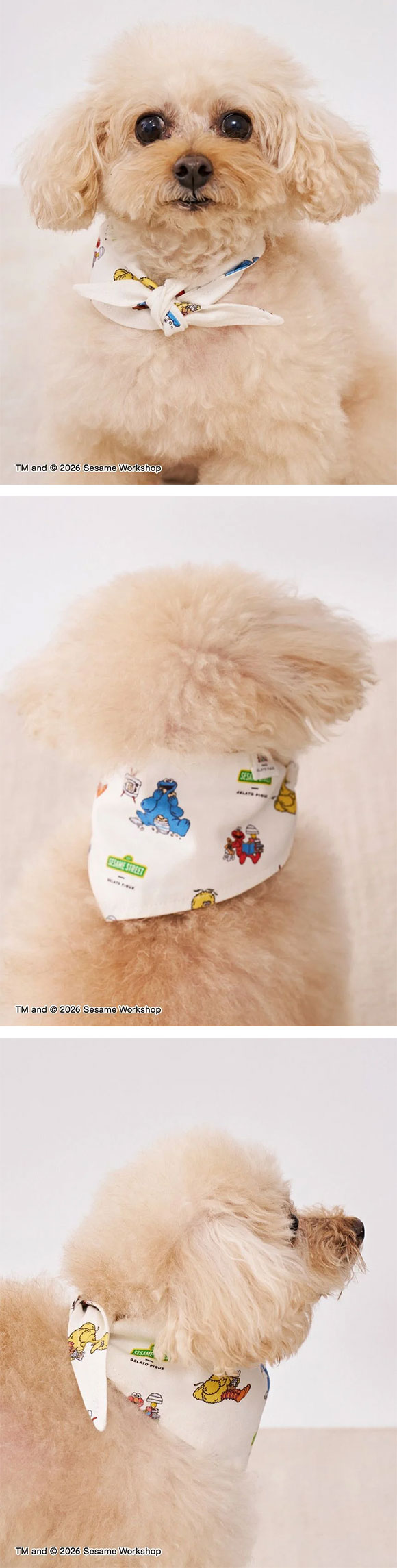 ジェラートピケ CAT&DOG SESAME STREET バンダナ セサミストリート