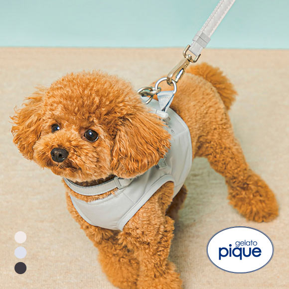 ジェラートピケ CAT&DOG 販路限定商品 リード gelato pique