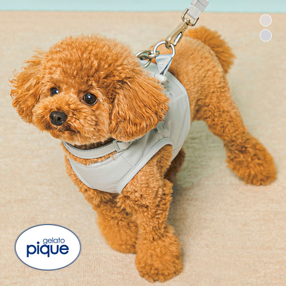 ジェラートピケ CAT&DOG 販路限定商品 ハーネス gelato pique