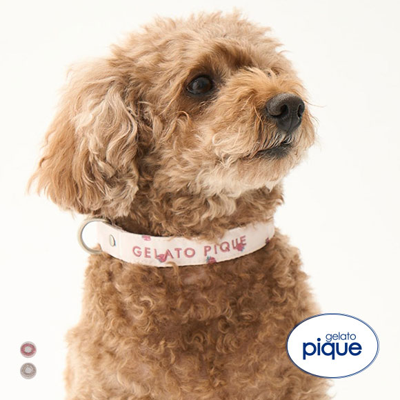 ジェラートピケ CAT&DOG 販路限定商品 モチーフ柄首輪 gelato pique