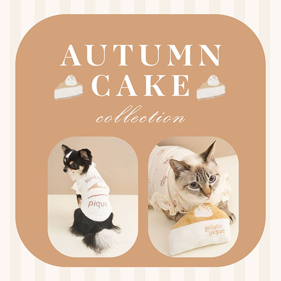 ジェラートピケ CAT&DOG オータムケーキジャガードブランケット ジェラピケ gelato pique