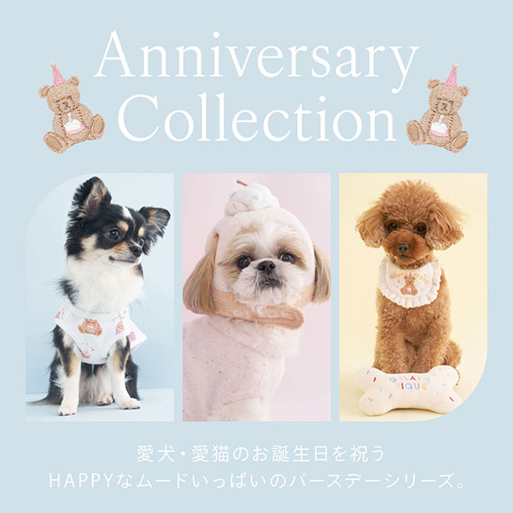 ジェラートピケ CAT&DOG Birthday スムーズィーカップケーキジャガード